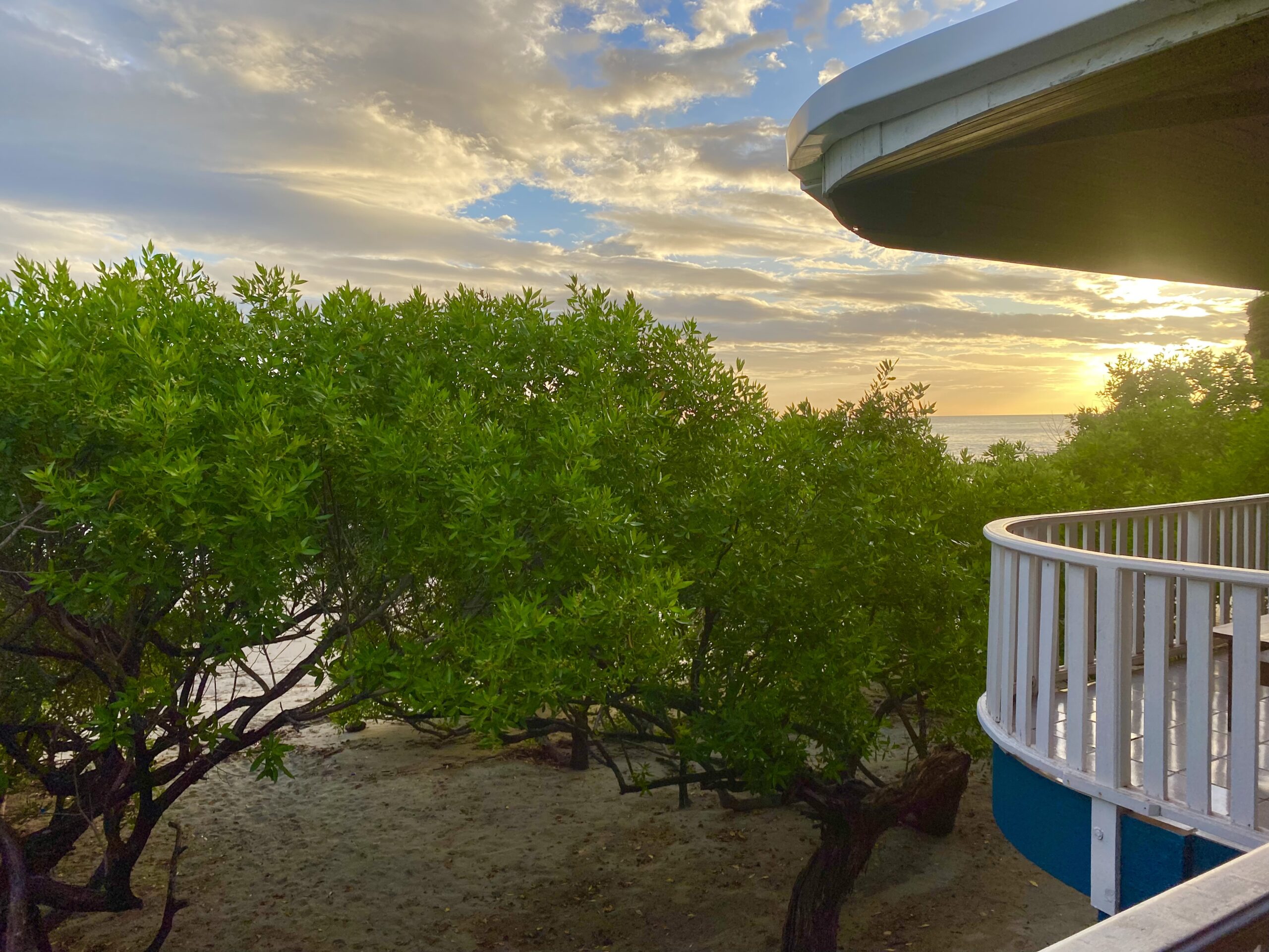Beachfront Studio Cangrejos 1 Playa Coco